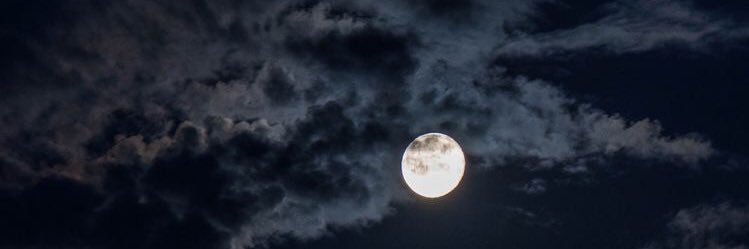 freeyute's profile banner image