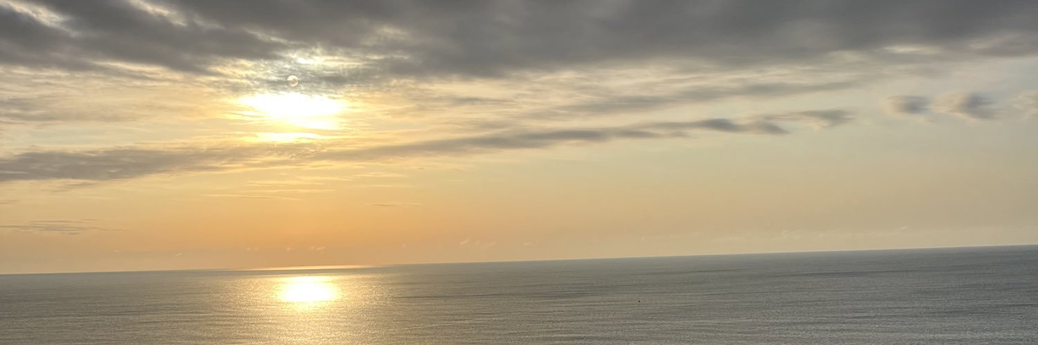 soberlicious banner