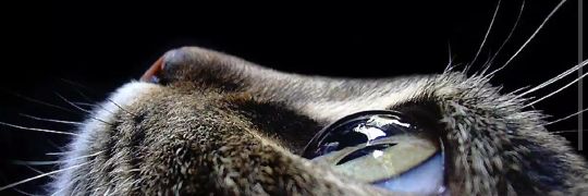 luciazabal's profile banner image