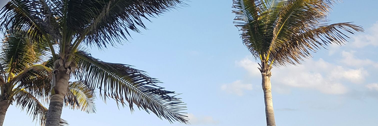 marlenev_'s profile banner image