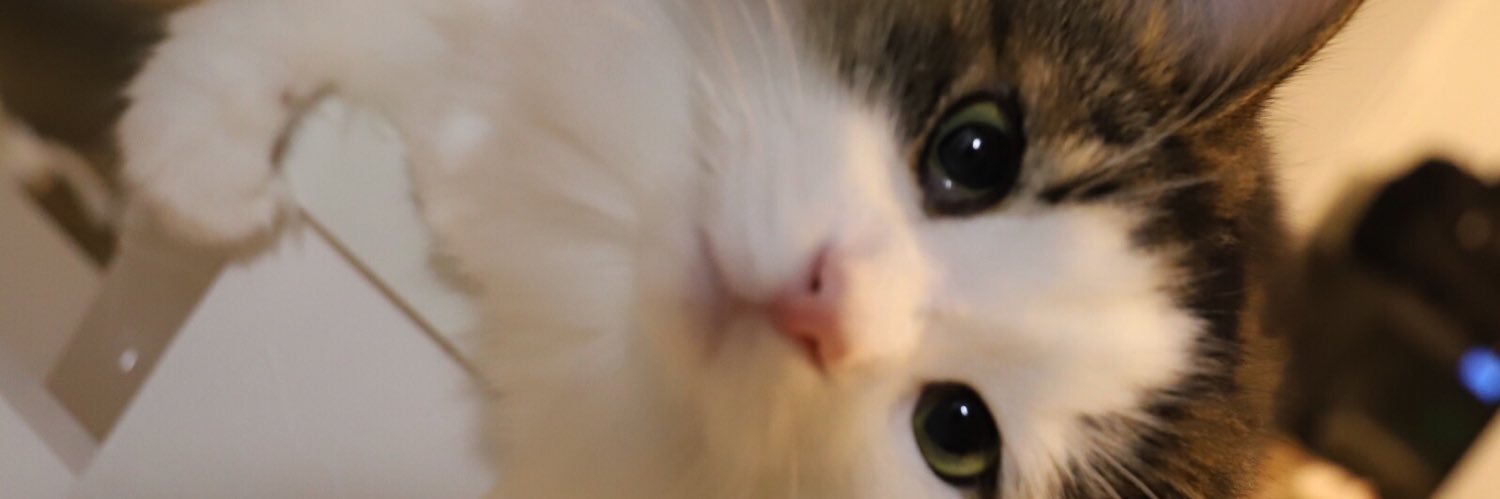 gpc0y5's profile banner image