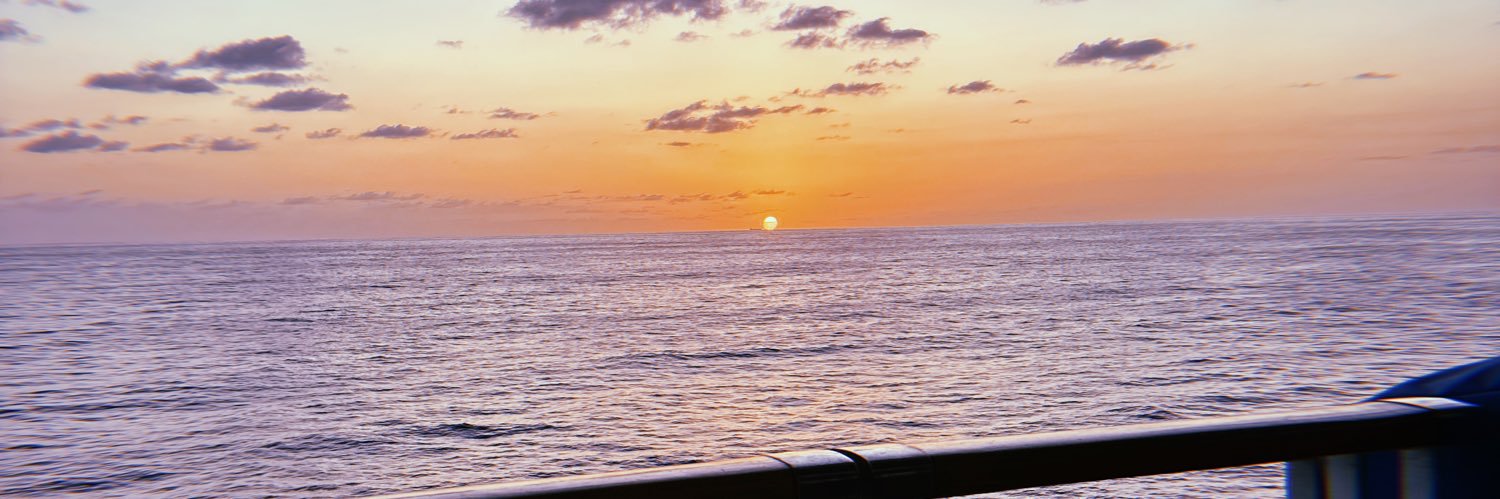 elizabaee00's profile banner image