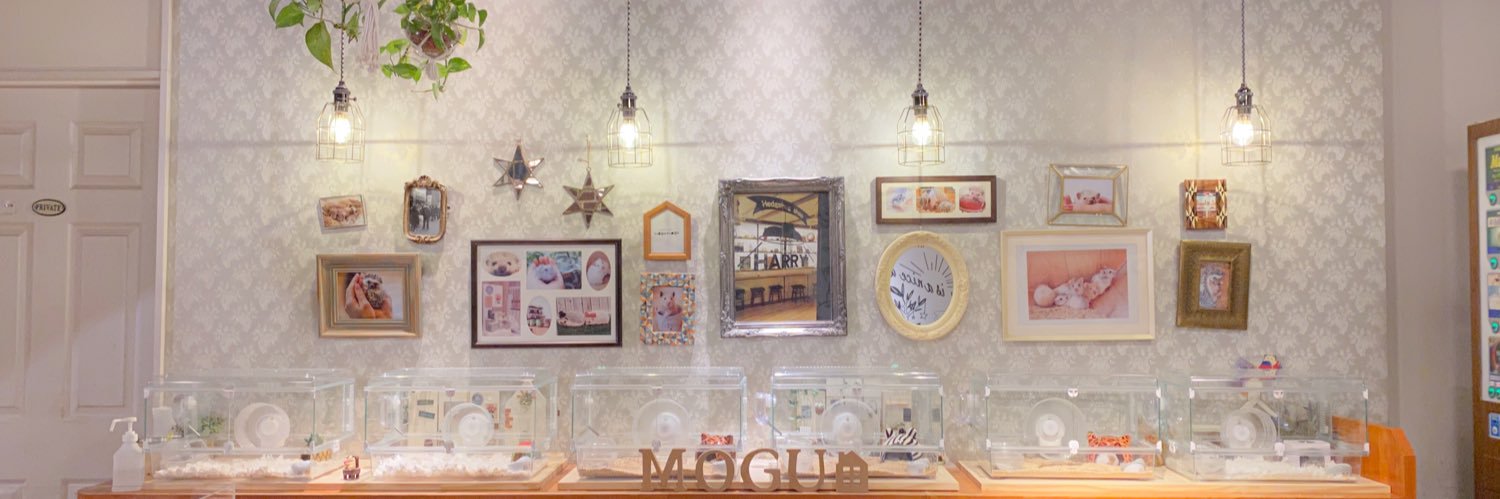 ハムスターカフェ mogumogu's banner