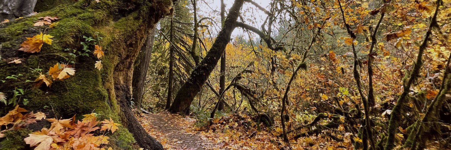 TheAudreyBee's profile banner image