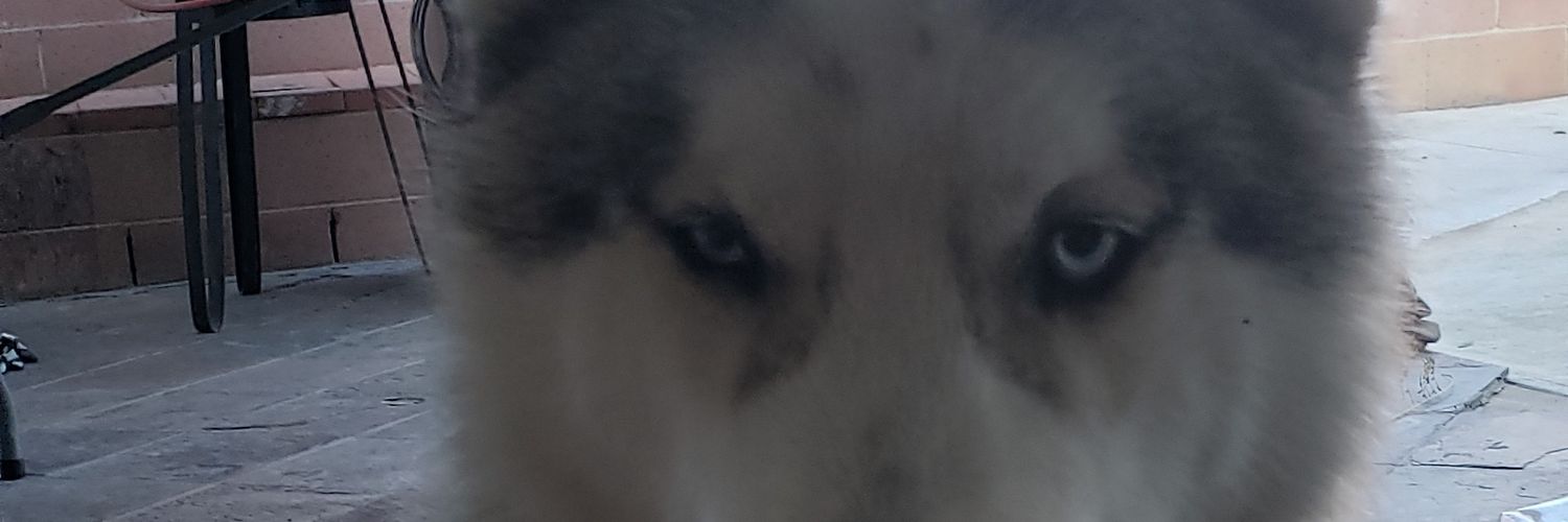 Photonlol's profile banner image