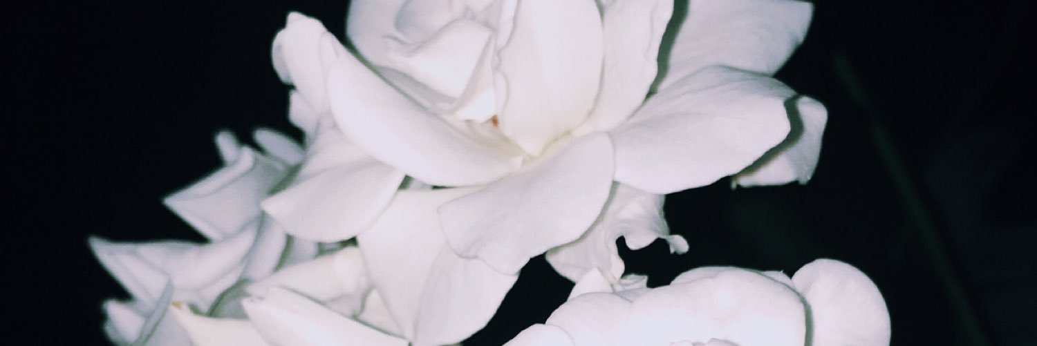 rnusic_22's profile banner image