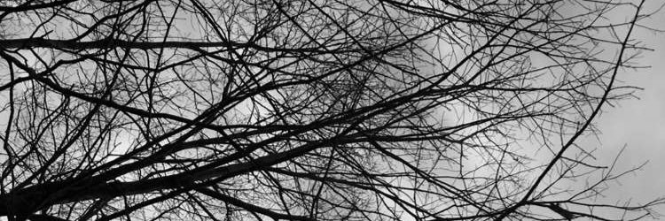 davidani101's profile banner image
