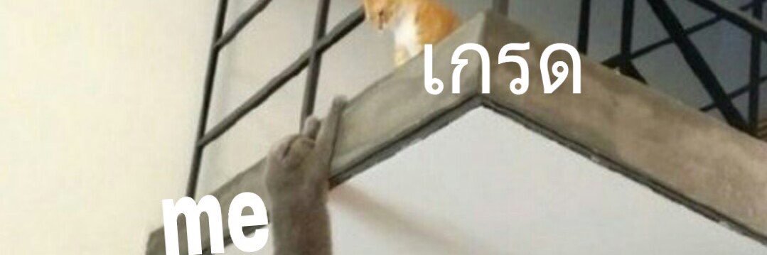 ไข่มาบ่นถึงคนที่ชอบ banner