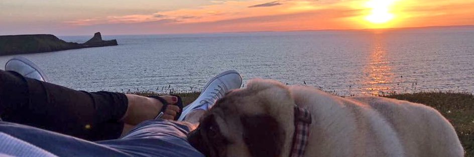 MissAmy_Rose's profile banner image