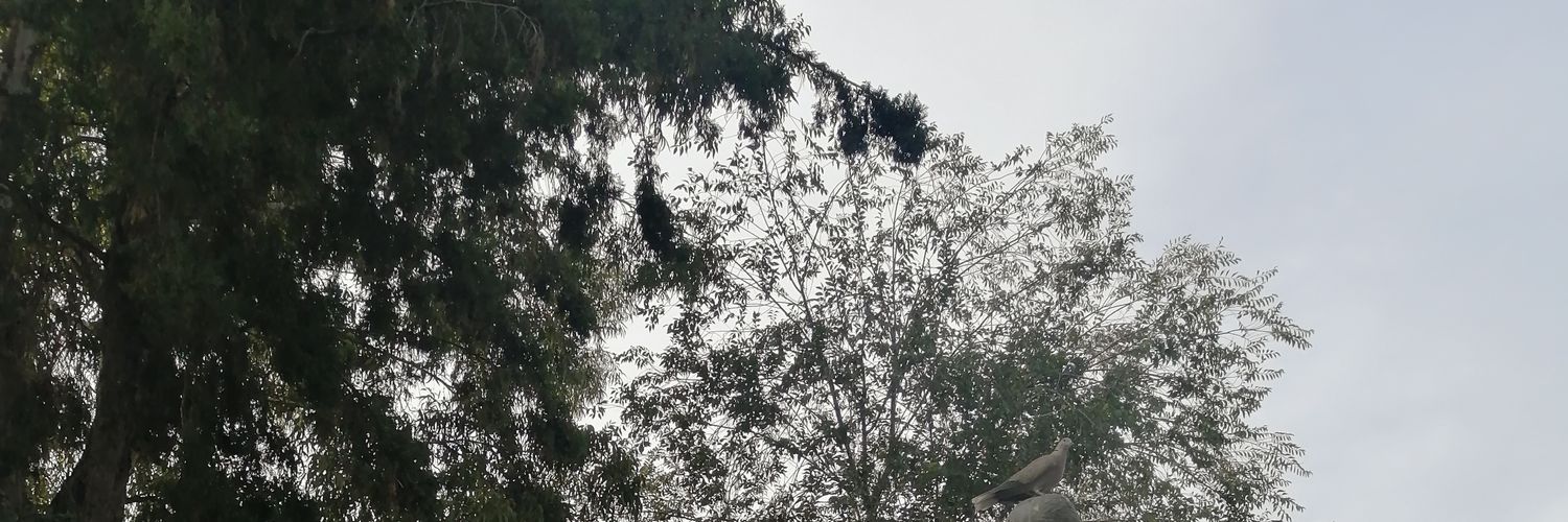DConts11's profile banner image