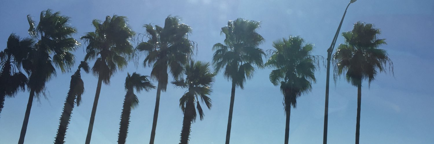 ericaebitz's profile banner image