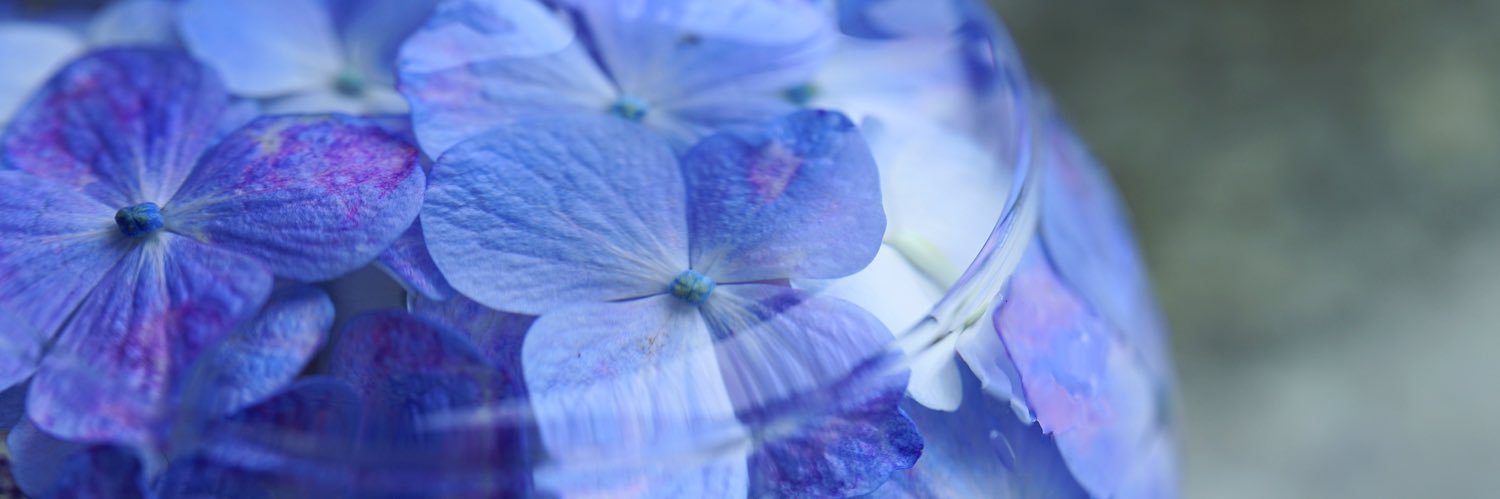 hisyo_eye's profile banner image