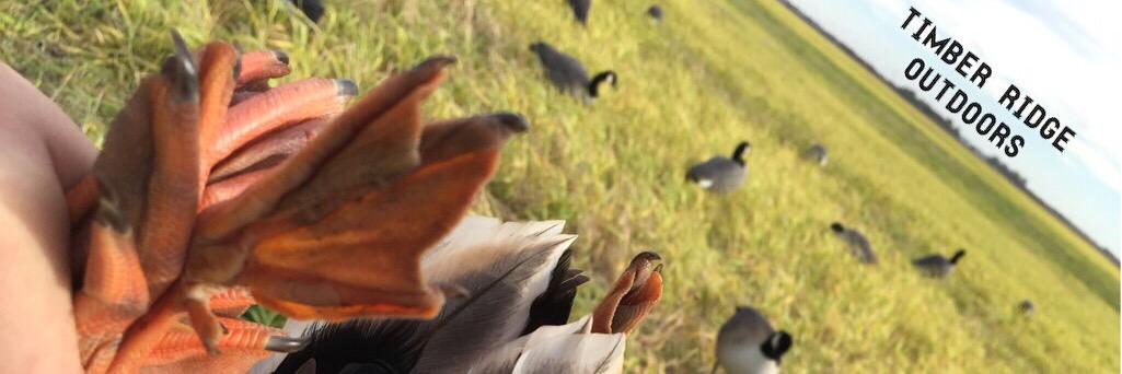 TimberOutdoors's profile banner image