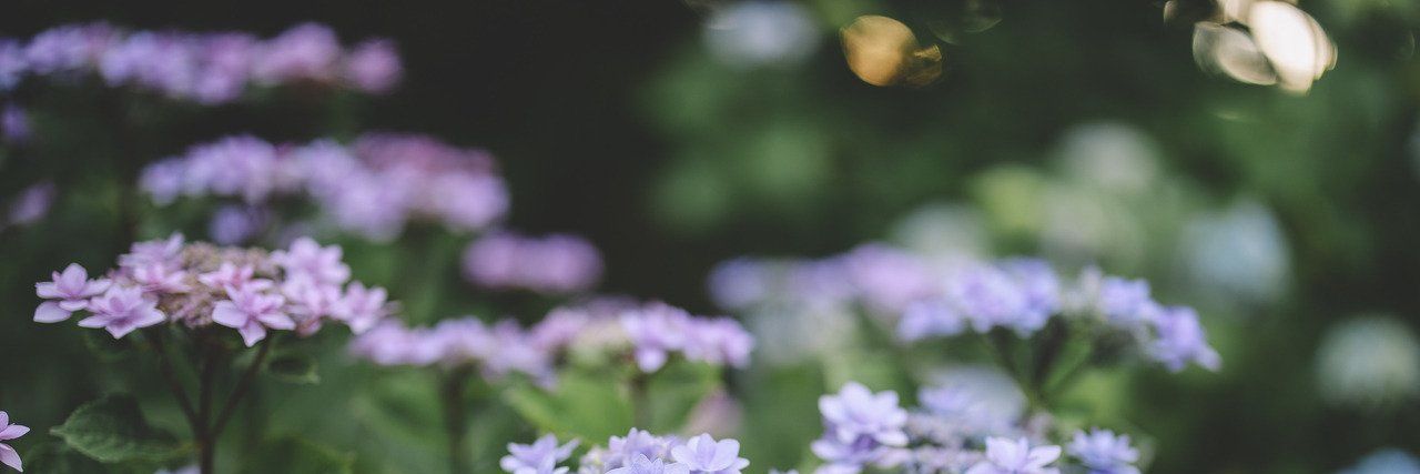MnvYour's profile banner image