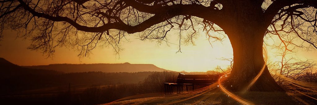 CamHering's profile banner image