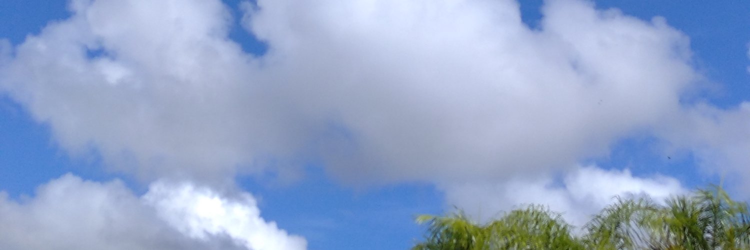 ElvimarR's profile banner image