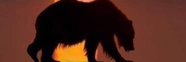 DrIgnacious's profile banner image