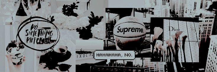 vaniallast's profile banner image