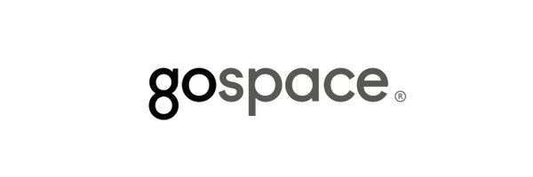 gospaceAI Profile Banner
