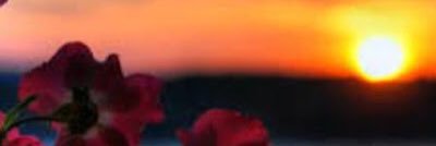 sa20178's profile banner image