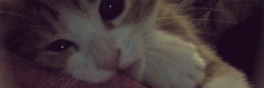 lunar, certified mind blower 🌙 banner