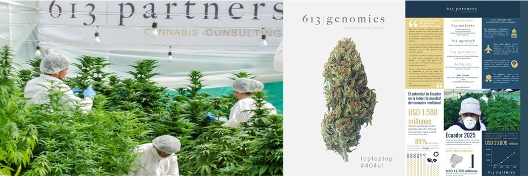 613Partners's profile banner image