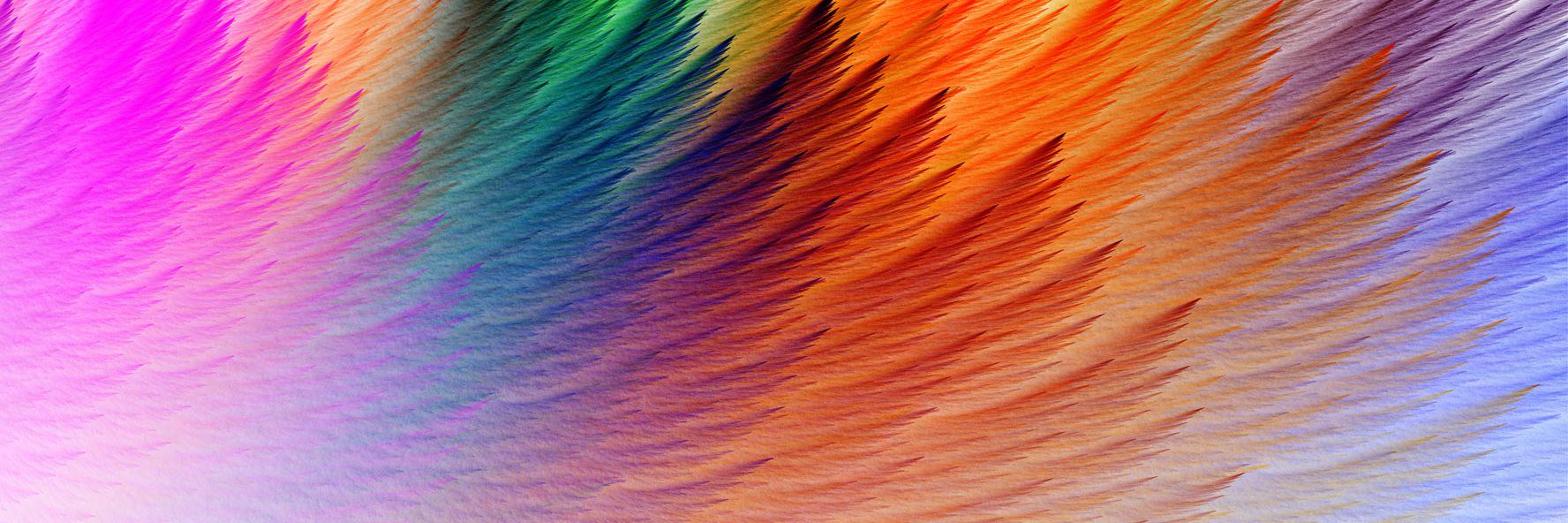 gpurcell21's profile banner image