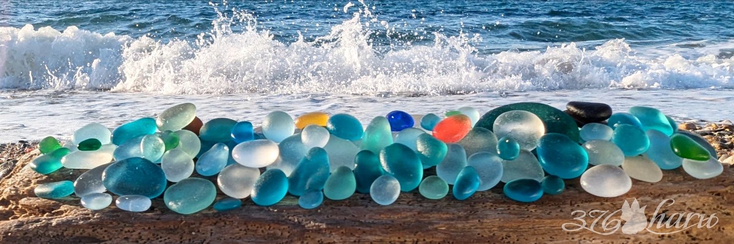 🍀ハル🍀 banner