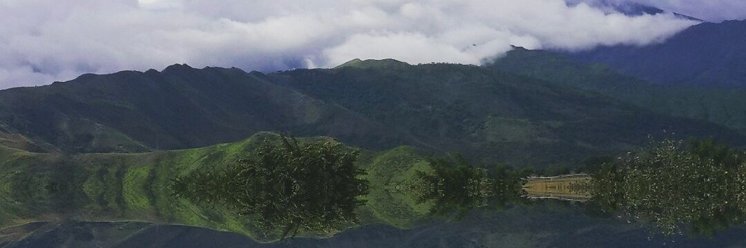 Caroxwiiny's profile banner image