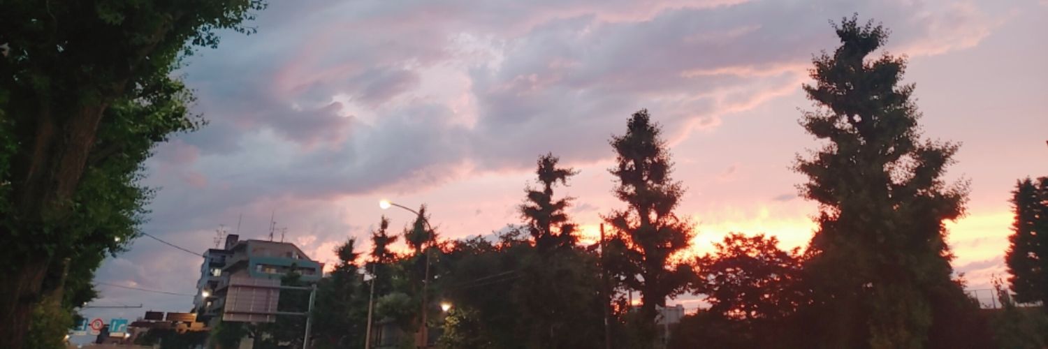 rinadaze's profile banner image