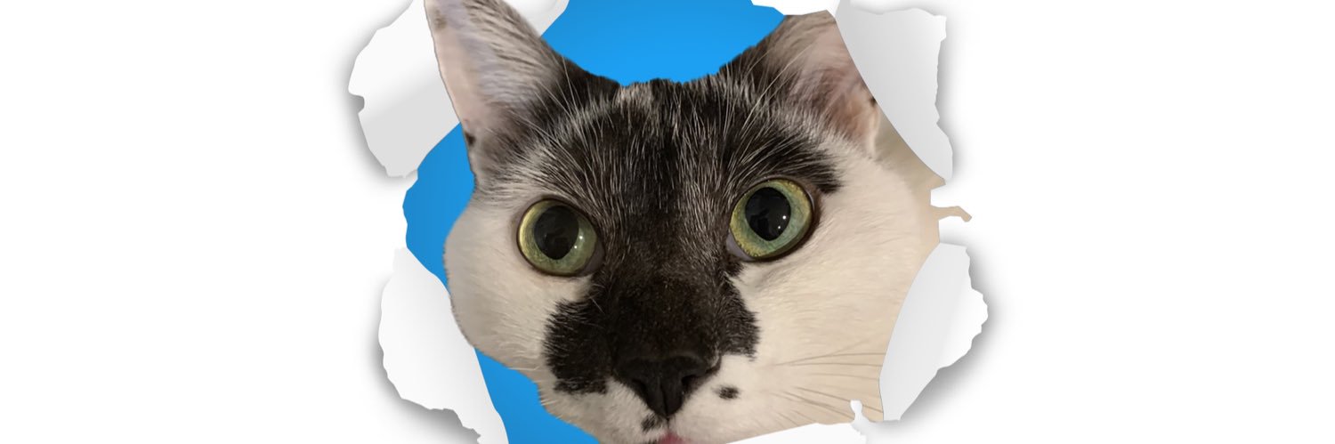 millefeui's profile banner image