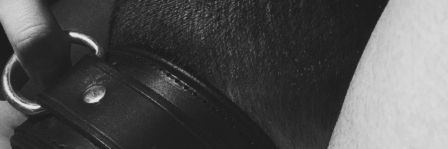NokaPuppy's profile banner image