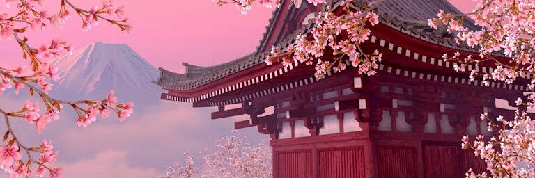 MyChoyChow's profile banner image