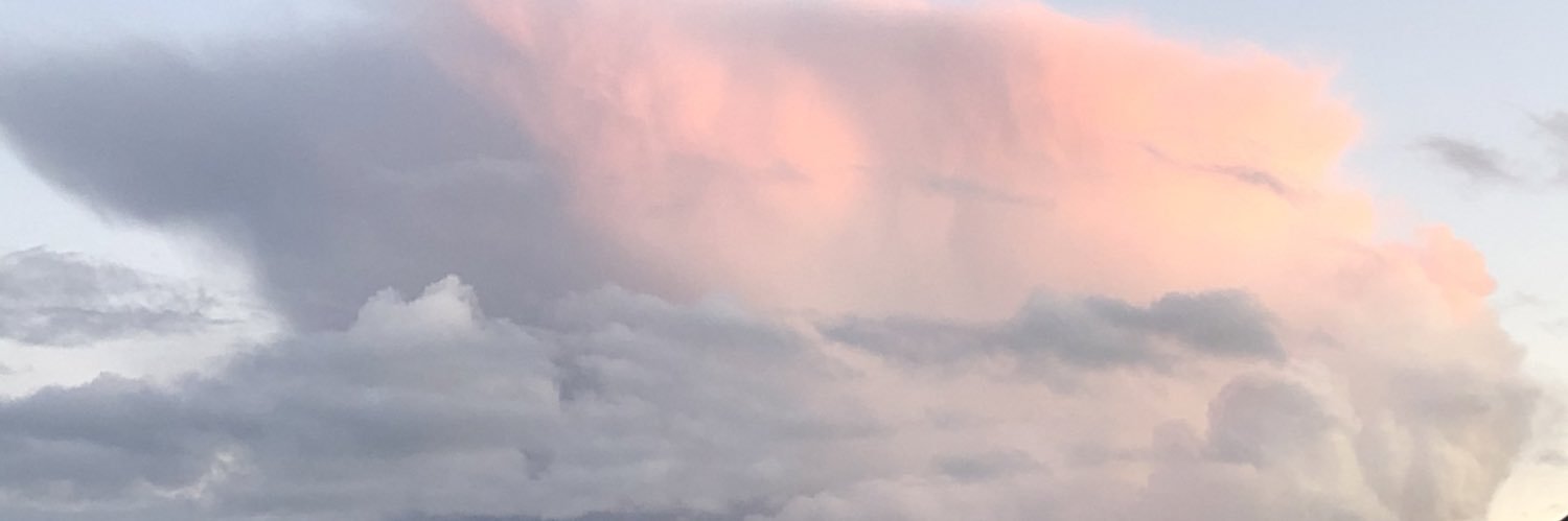 leinonen_sofia's profile banner image