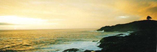 msilvaedwards's profile banner image