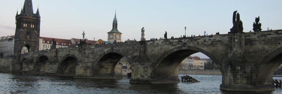 Elizabeth Kalles banner