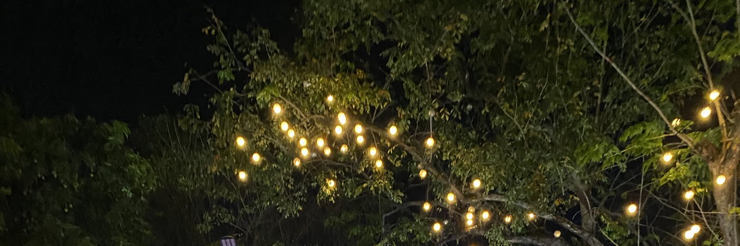 alyssa daguimol banner