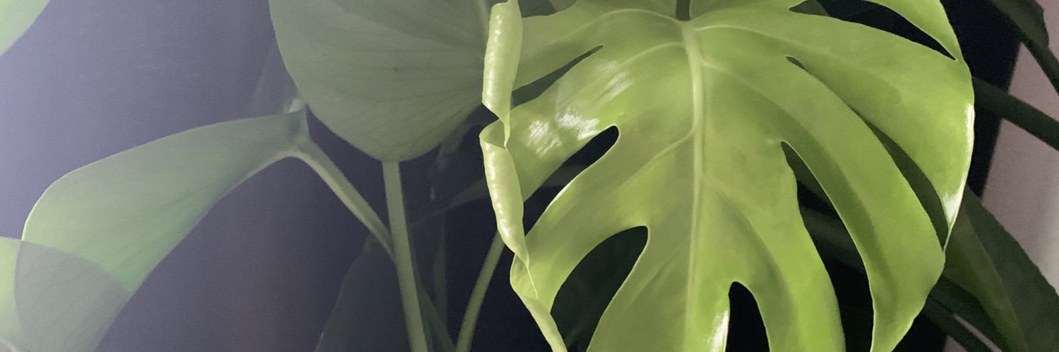 apevpv's profile banner image