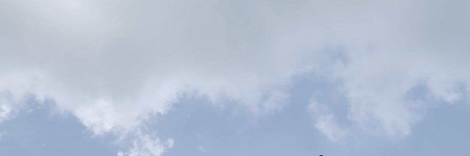 febitaas's profile banner image
