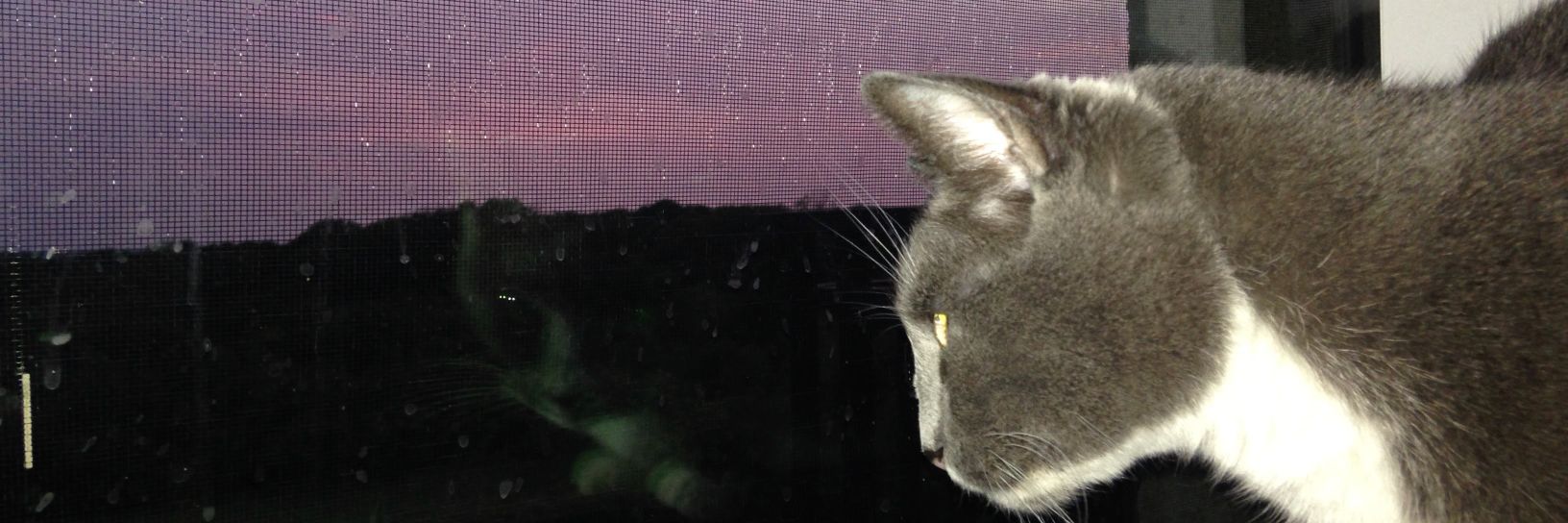 ari banner