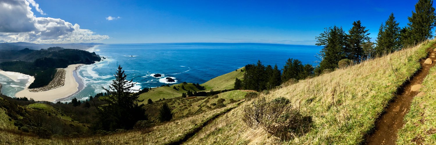 Jocelyn Blore banner