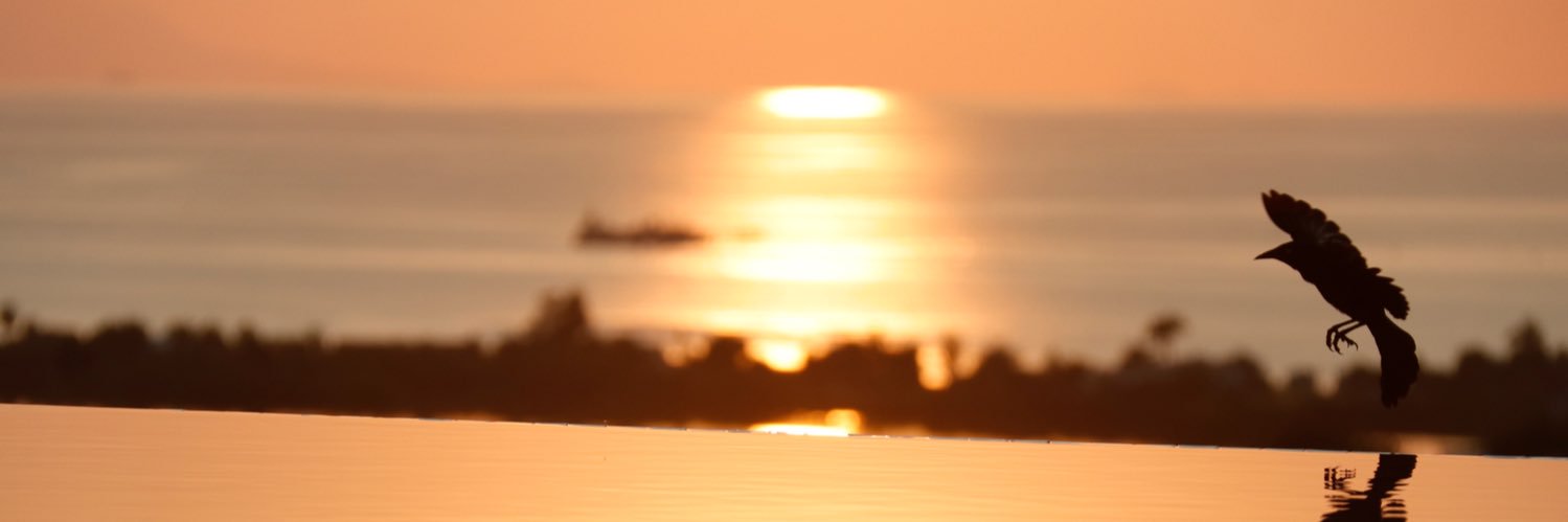 MarcusAlreadyUs's profile banner image