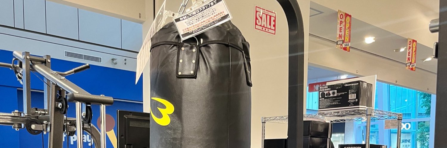 ShinFighter's profile banner image