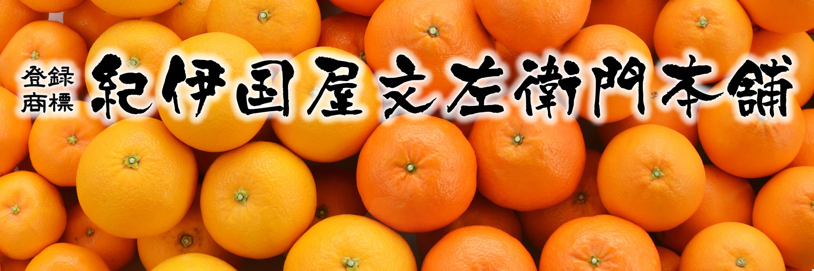 _kinokuniya's profile banner image