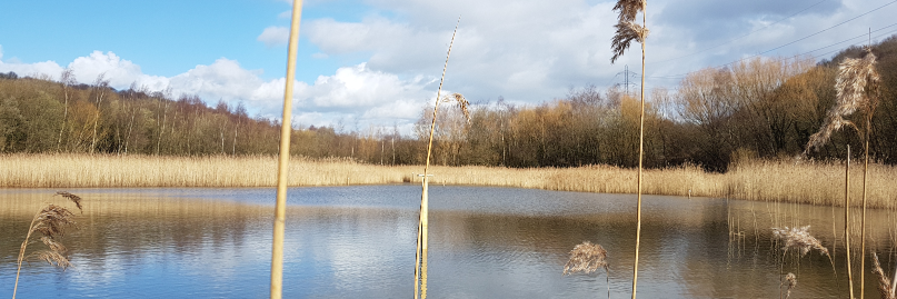 Huddersfield University Applied Microbiology Lab banner