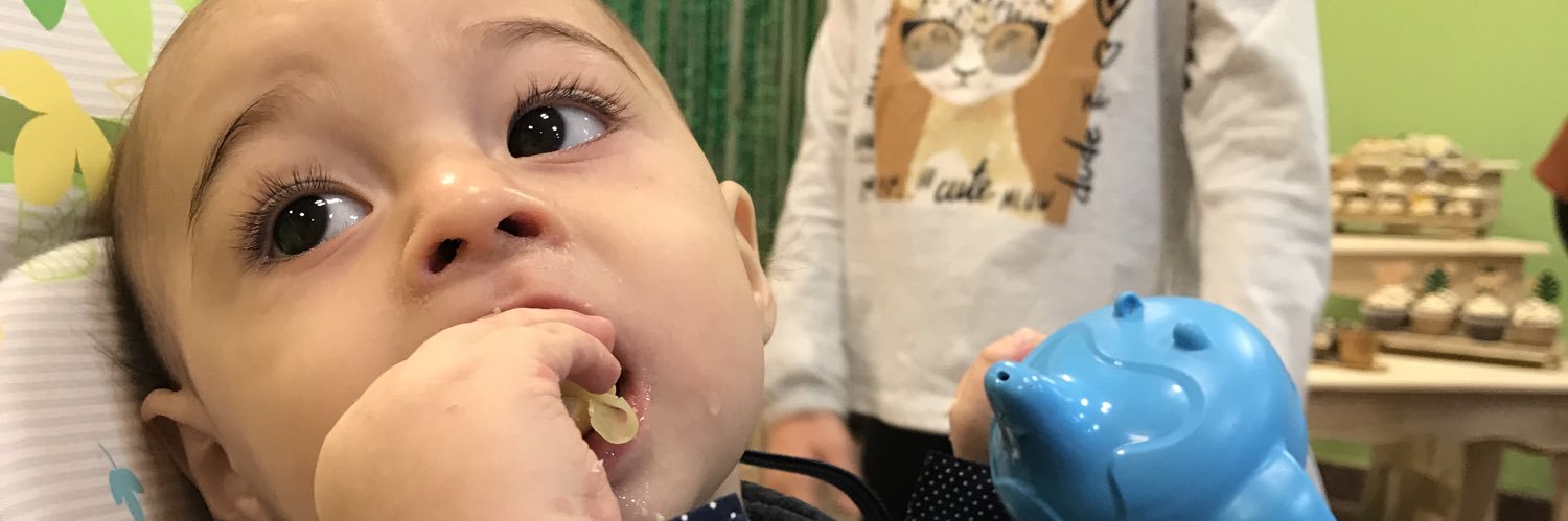 LulaPandolfi's profile banner image