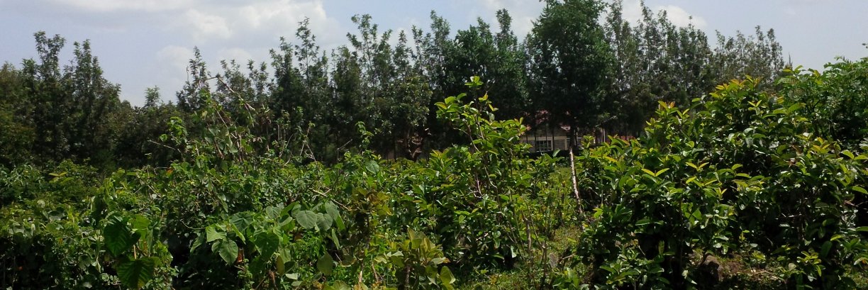ANMkani's profile banner image