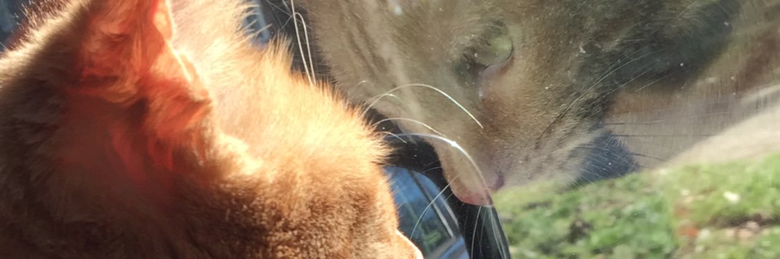 RiosJSam1988's profile banner image