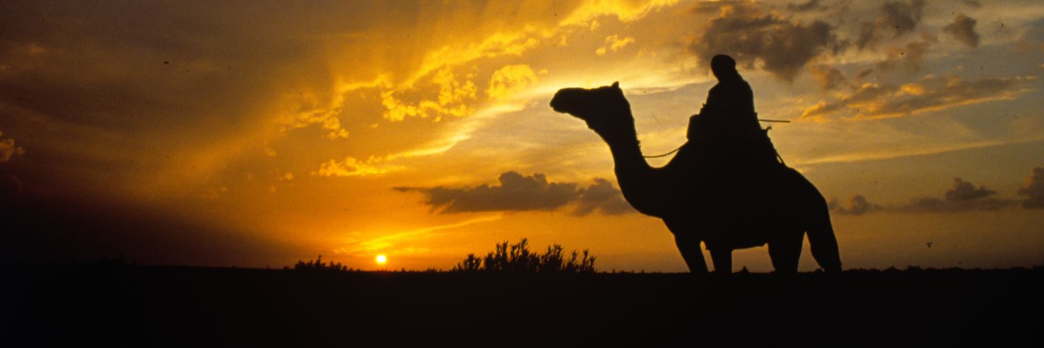العميد محمد بنونه banner
