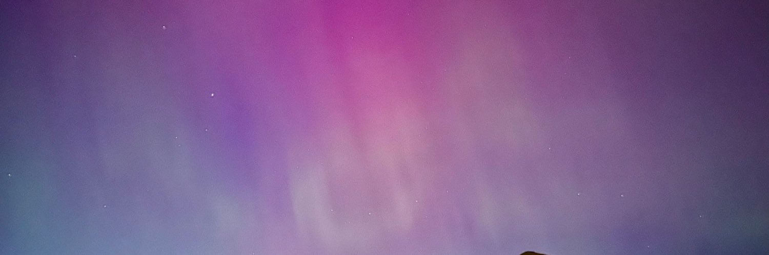 Francisco Bustos banner